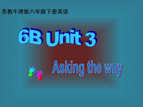 (苏教牛津版)六年级英语下册课件Unit3(4)