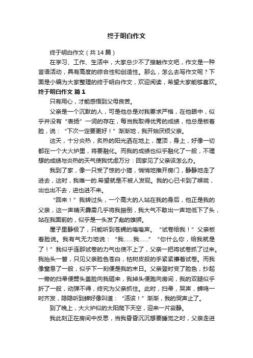 终于明白作文（共14篇）