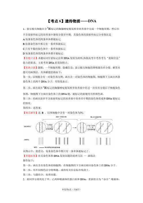 高考生物19个必考点典例分析：【考点06】遗传物质——DNA