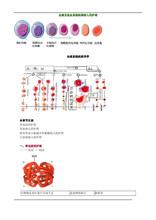 血液及造血系统疾病病人的护理