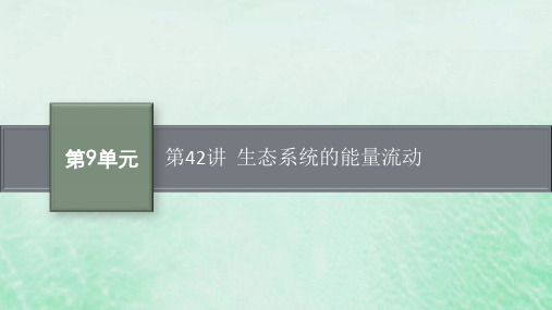 适用于新教材2024版高考生物一轮总复习第9单元生物与环境第42讲生态系统的能量流动课件新人教版