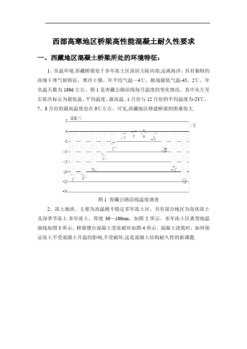 西部高寒地区桥梁高性能混凝土耐久性设计及施工技术