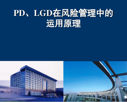 新PD、LGD在风险管理中的运用原理