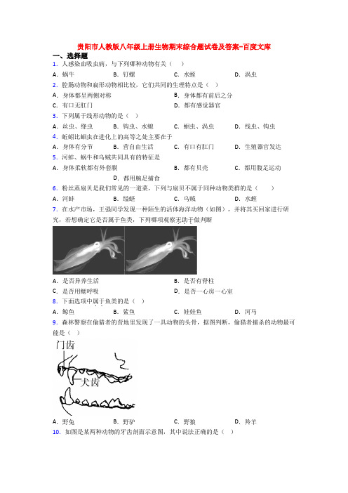 贵阳市人教版八年级上册生物期末综合题试卷及答案-百度文库