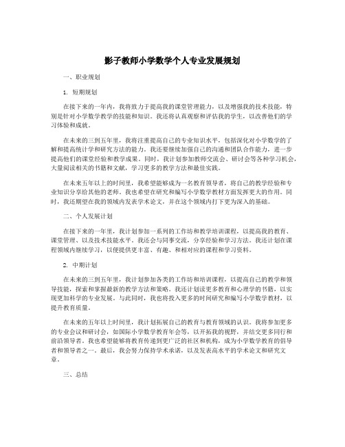 影子教师小学数学个人专业发展规划