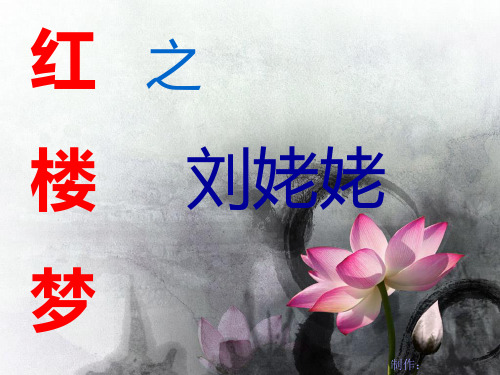 《红楼梦刘姥姥》PPT课件