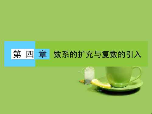 高中数学第四章数系的扩充与复数的引入1数系的扩充与复数的引入1.1数的概念的扩展课件