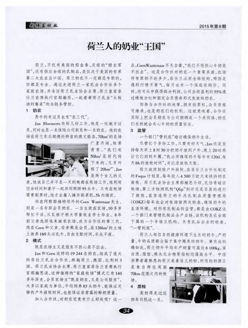 荷兰人的奶业“王国”