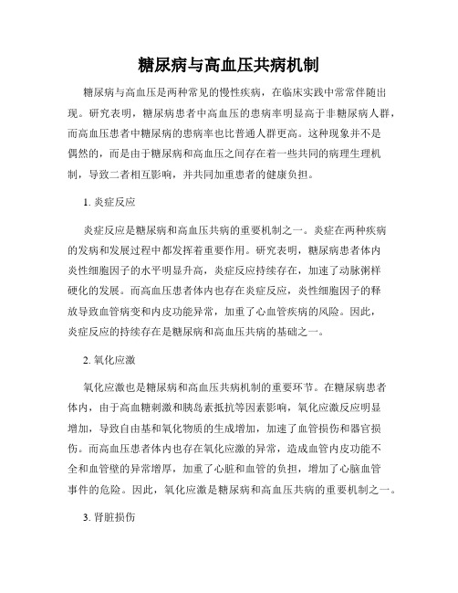 糖尿病与高血压共病机制