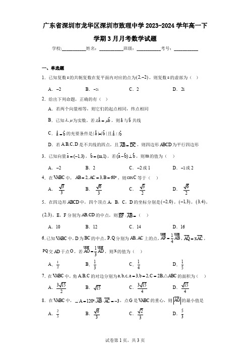 广东省深圳市龙华区深圳市致理中学2023-2024学年高一下学期3月月考数学试题