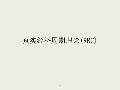 《RBC模型及应用》PPT课件