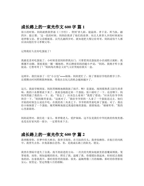 我成长中的一束光作文550字