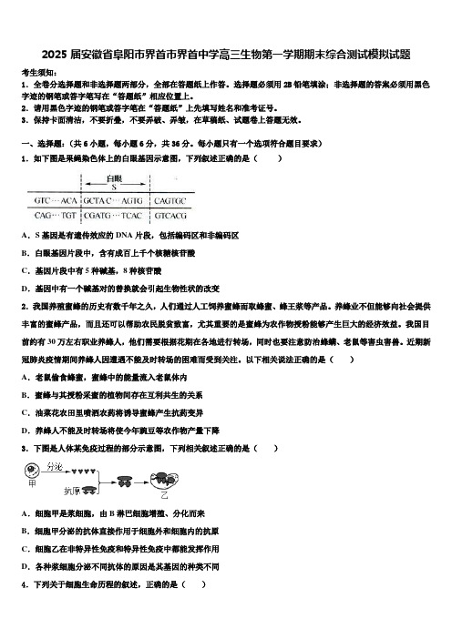 2025届安徽省阜阳市界首市界首中学高三生物第一学期期末综合测试模拟试题含解析