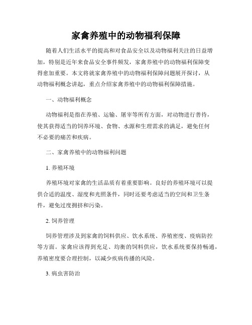 家禽养殖中的动物福利保障