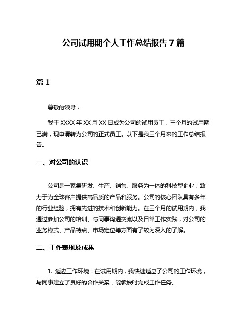 公司试用期个人工作总结报告7篇