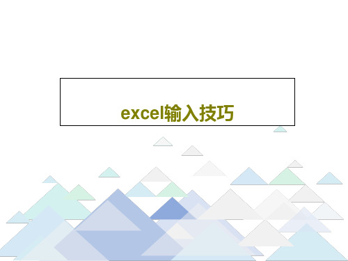 excel输入技巧共24页文档