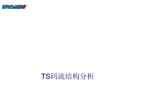 ts码流结构分析