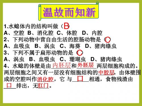 5-1-2 线形动物和环节动物