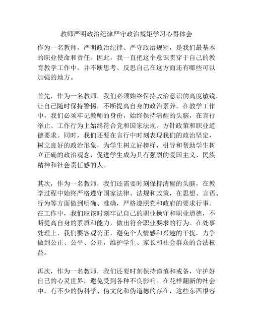 教师严明政治纪律严守政治规矩学习心得体会