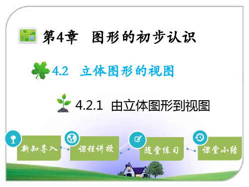 华师版七年级数学上册 4.2.1 由立体图形到视图