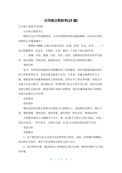 公司成立策划书(15篇)