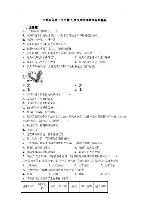 生物八年级上册生物 1月份月考试卷及答案解答