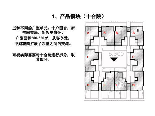 (完整版)龙湖合院产品分析