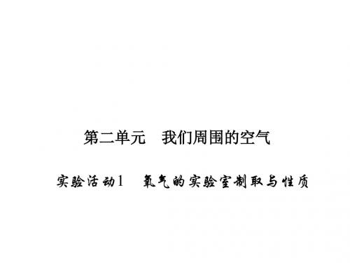 人教版九年级化学上册习题课件:2.实验活动1 氧气的实验室制取与性质