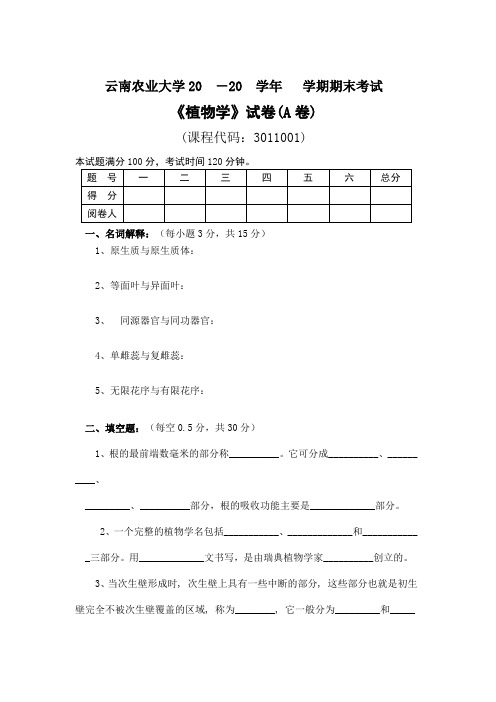 植物学模拟试卷与答案