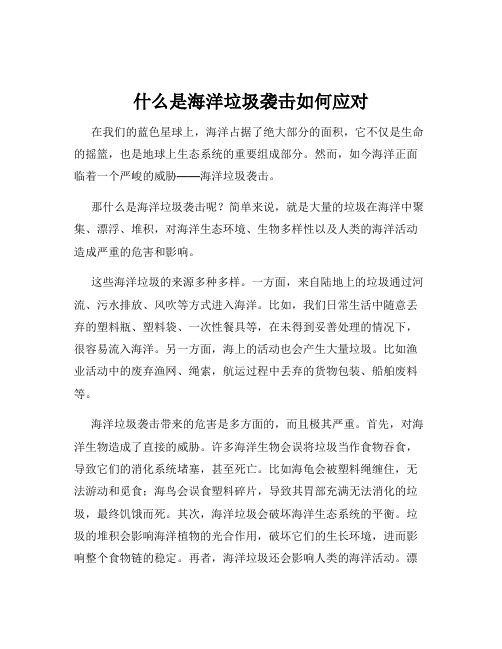 什么是海洋垃圾袭击如何应对