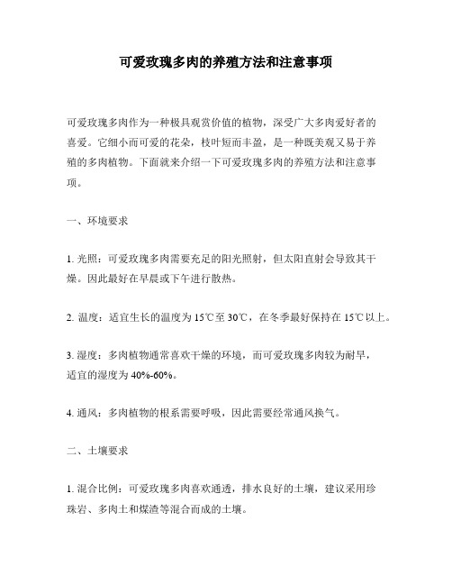 可爱玫瑰多肉的养殖方法和注意事项