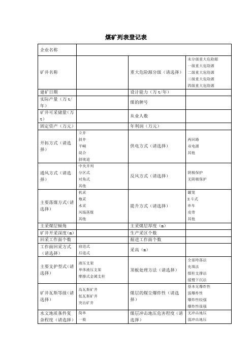 煤矿登记表11