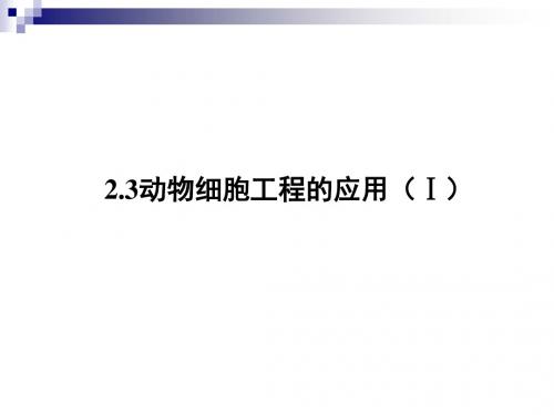 苏教版选修三 2.3 动物细胞工程的应用(Ⅰ)课件(31张)