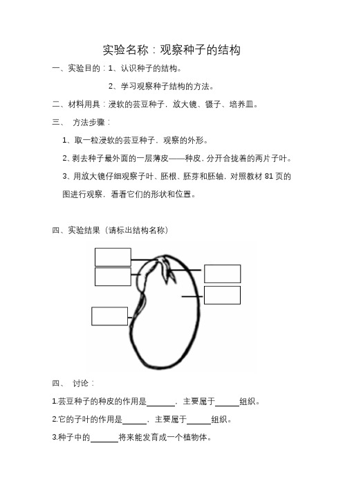 观察种子的结构实验报告