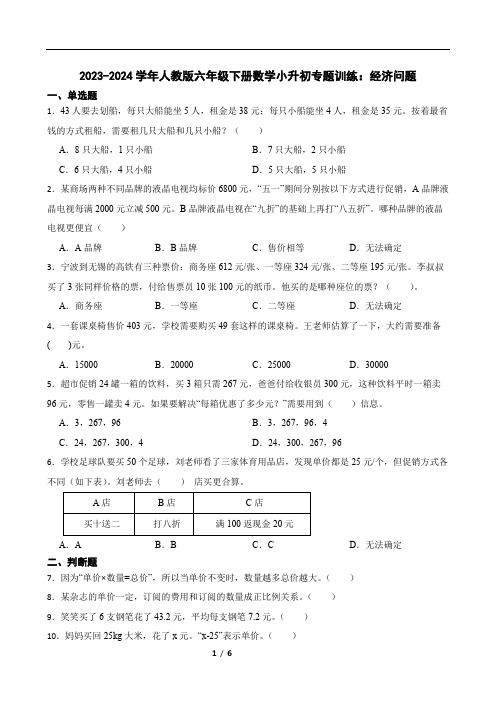 2023-2024学年人教版六年级下册数学小升初专题训练：经济问题