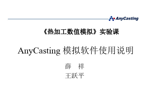 AnyCasting模拟软件使用说明