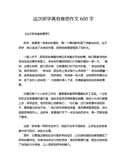 这次研学真有意思作文600字