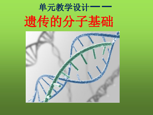 人教版高中生物必修二课件：遗传的分子基础单元教学设计(共118张PPT)