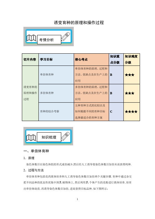 诱变育种的原理和操作过程12