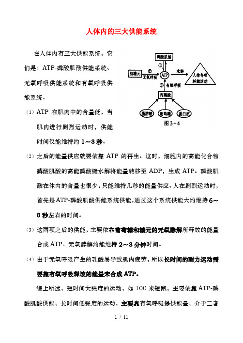 人体三大功能系统