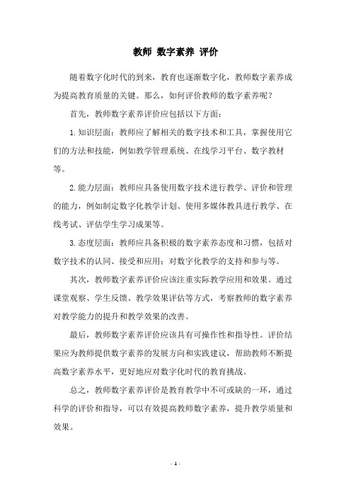 教师 数字素养 评价