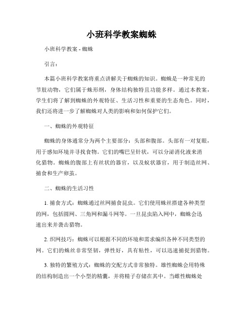 小班科学教案蜘蛛