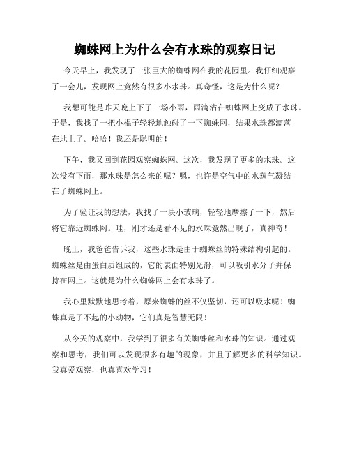 小学三年级作文蜘蛛网上为什么会有水珠的观察日记