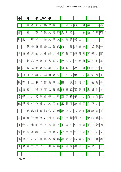 三年级状物作文：小 坏 猫_300字