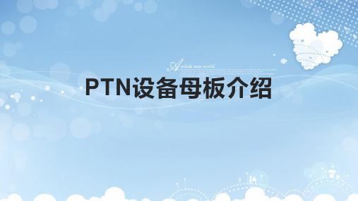 PTN设备母板介绍