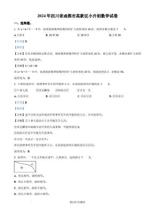 2024年四川省成都市高新区北师大版小升初考试数学试卷(解析版)