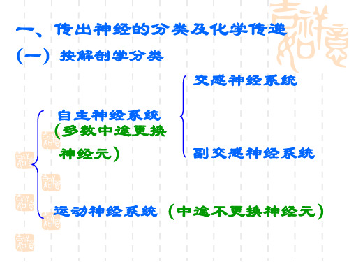 传出神经系统概述幻灯片(2)