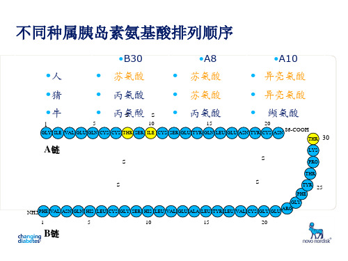 动物胰岛素与人胰岛素比较