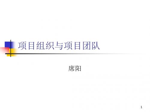 2项目组织与项目团队