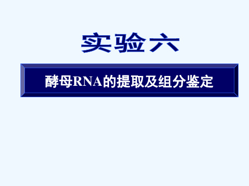 食品实验六酵母RNA的提取与定量测定